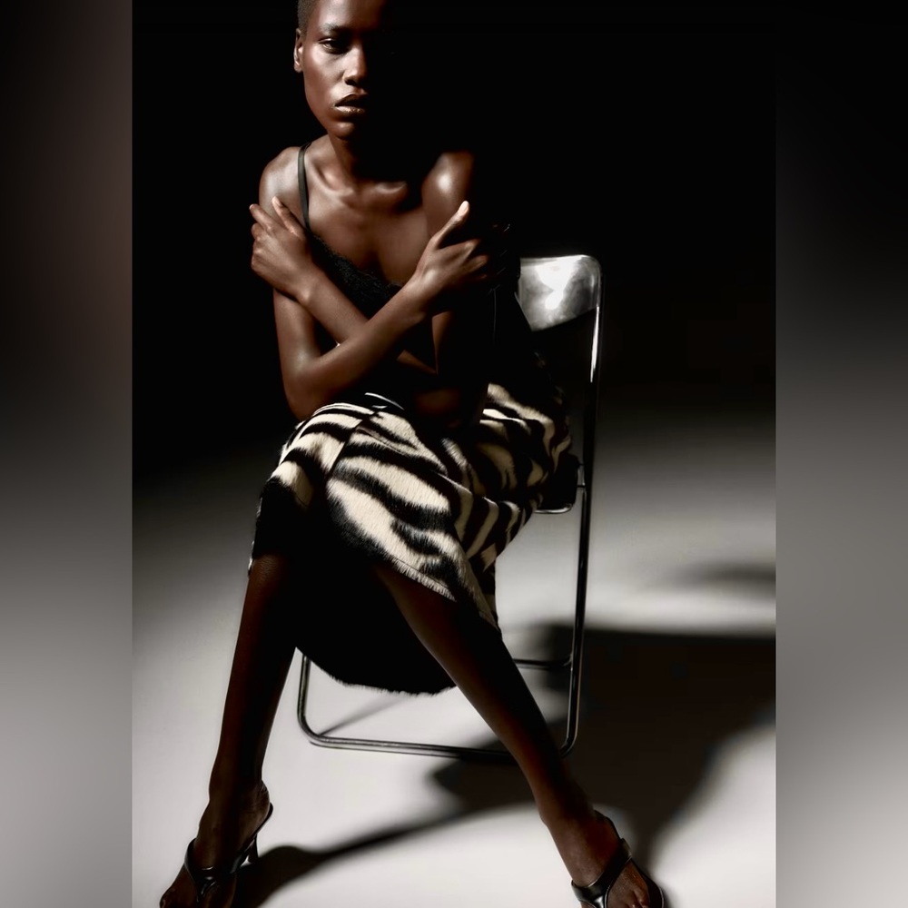 H&M ZEBRA PRINT ZIP-FRONT SKIRT - Picture 3 of 12